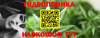 гидропоника Балахна