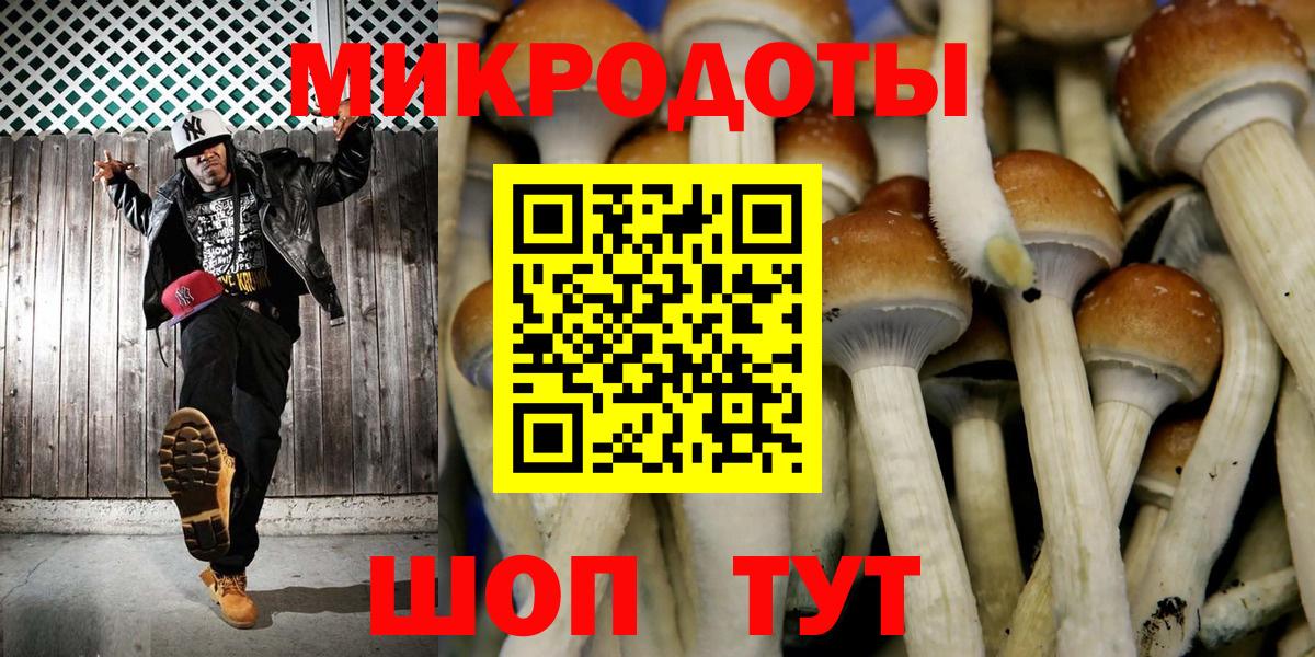 Галлюциногенные грибы прущие грибы Борзя