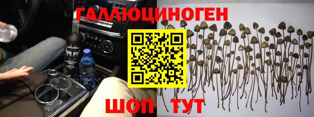 Борзя  Псилоцибиновые грибы ЛСД  Галлюциногенные грибы Magic Shrooms  продажа наркотиков  Вход с VPN 